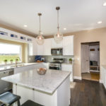 Gallery Images